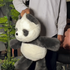 Panda Corridore