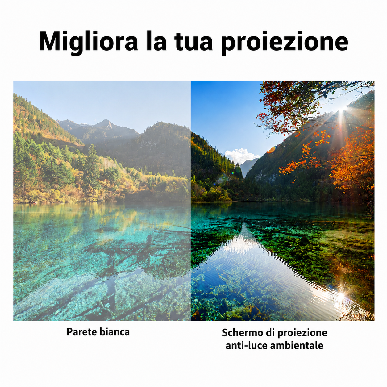 Telo Proiezione Anti-Luce