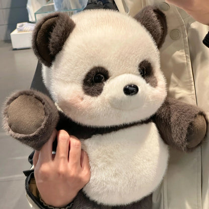 Panda Corridore