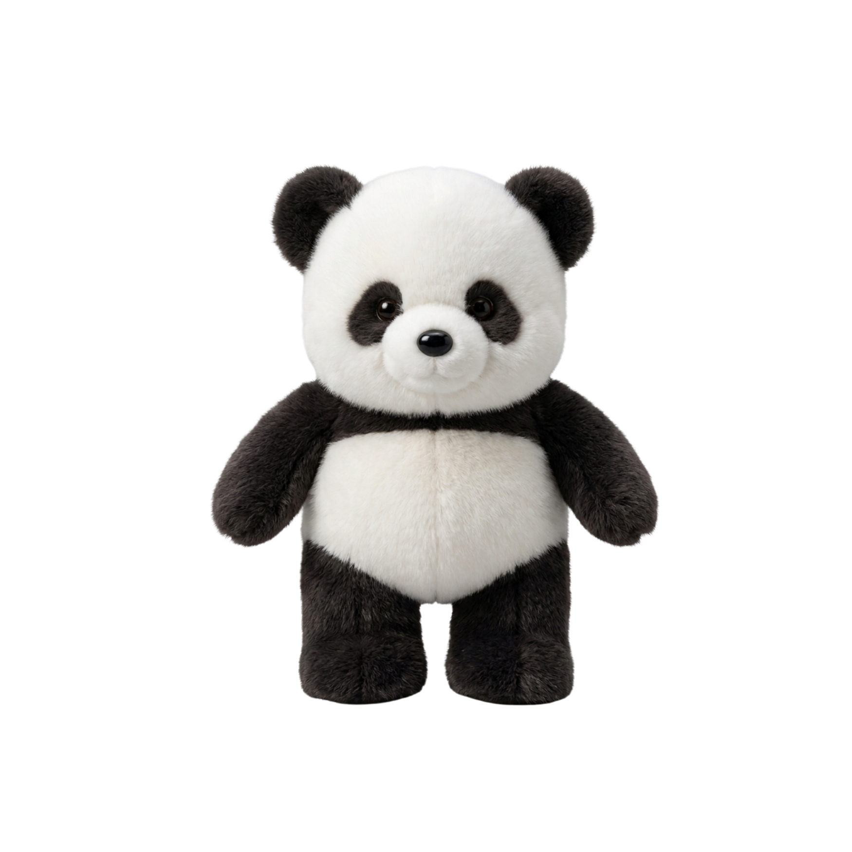 Panda Corridore