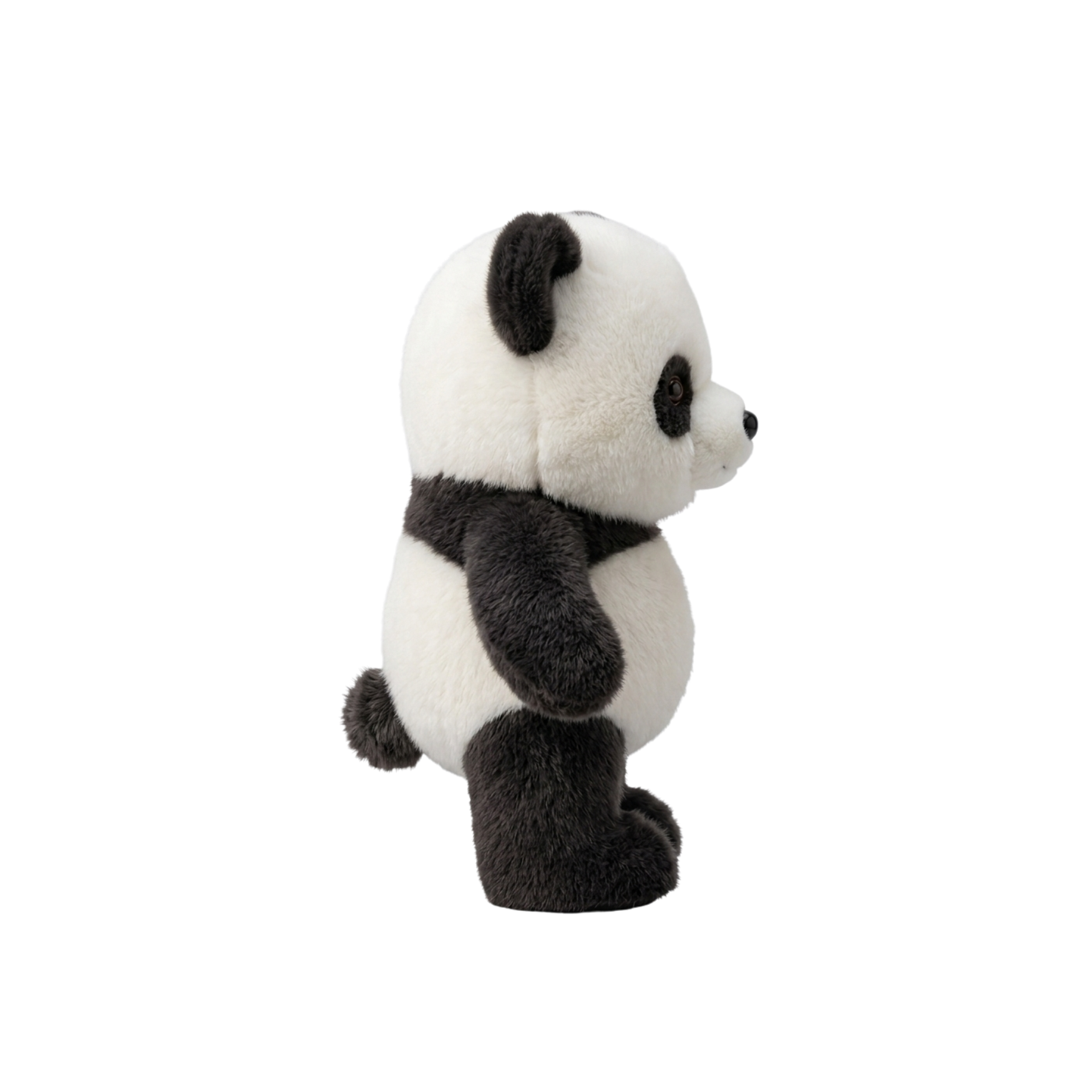 Panda Corridore