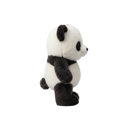 Panda Corridore